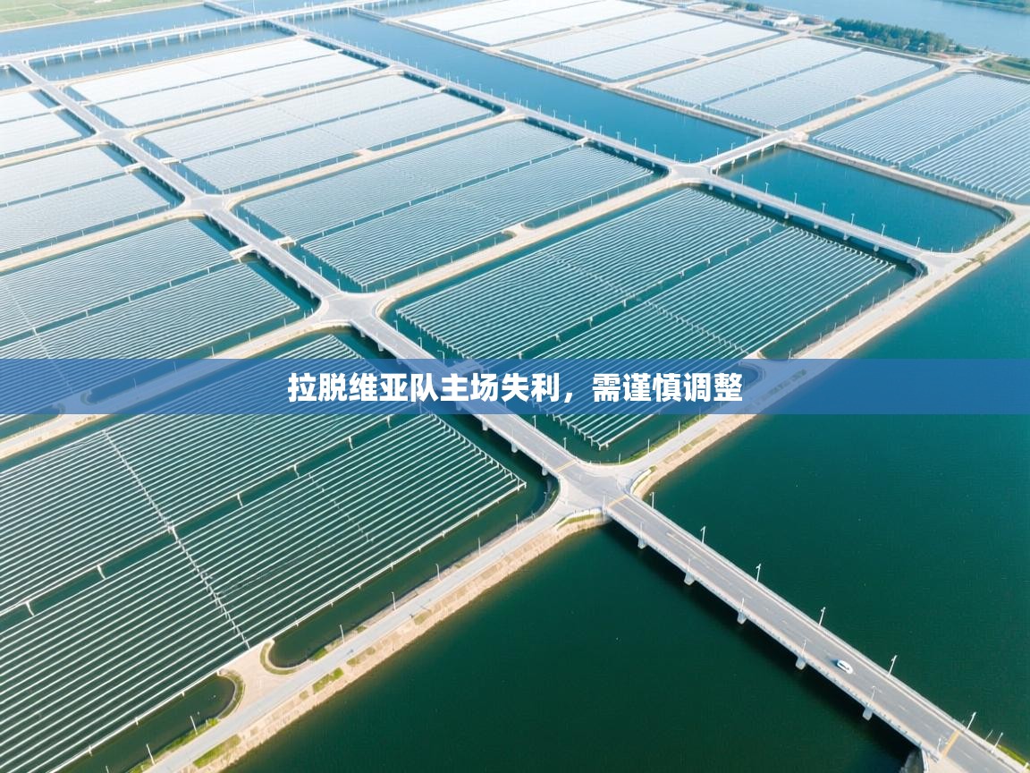 拉脱维亚队主场失利，需谨慎调整  第1张