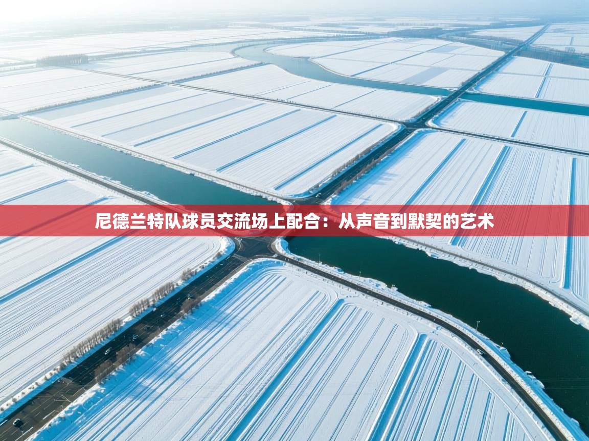 尼德兰特队球员交流场上配合：从声音到默契的艺术  第2张