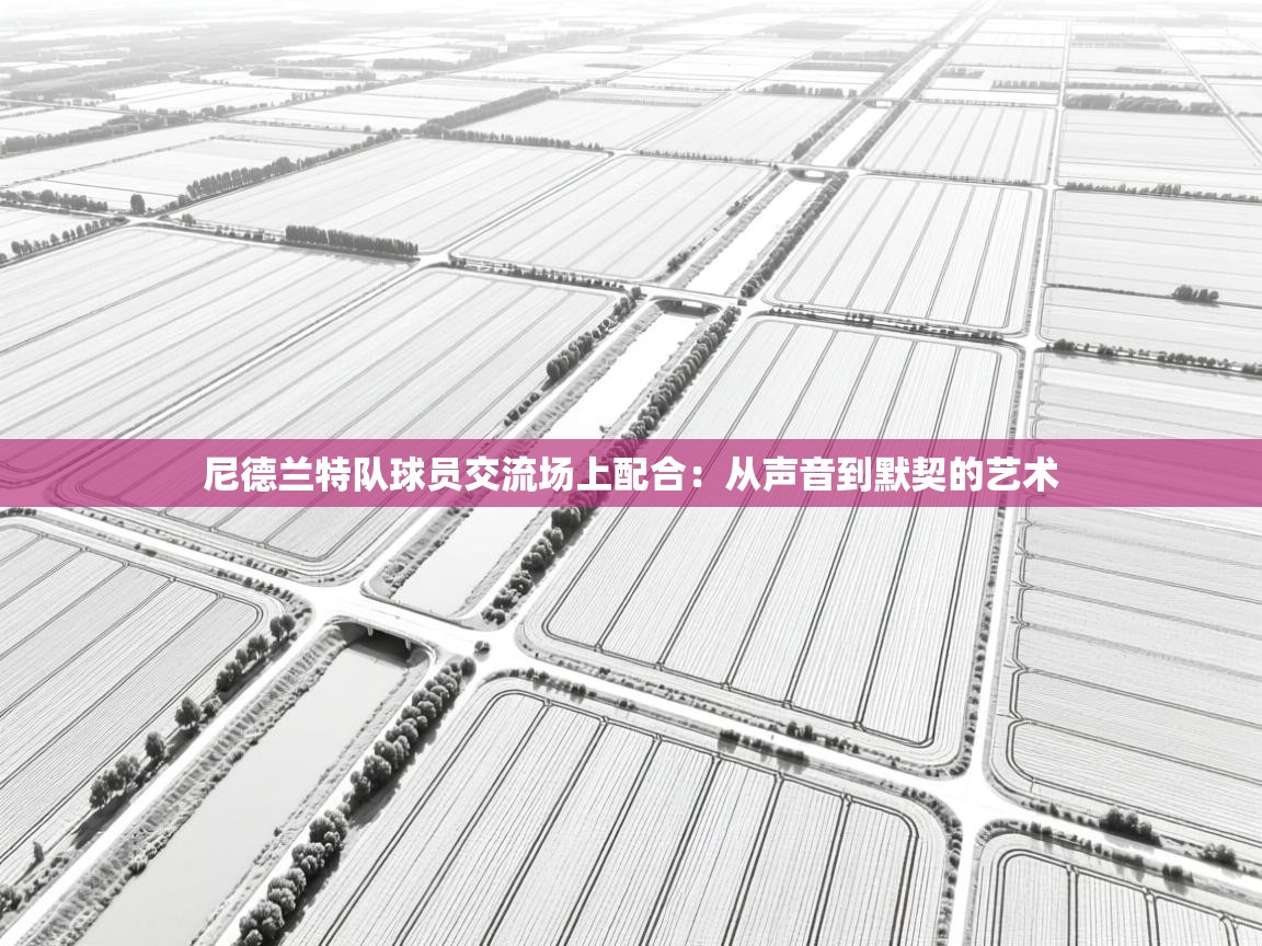 尼德兰特队球员交流场上配合：从声音到默契的艺术  第1张