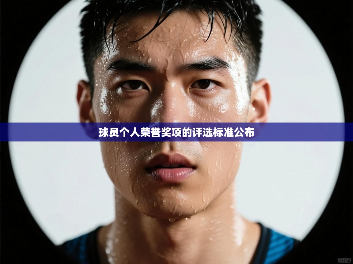 球员个人荣誉奖项的评选标准公布  第1张