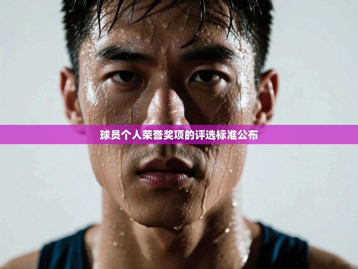 球员个人荣誉奖项的评选标准公布  第2张