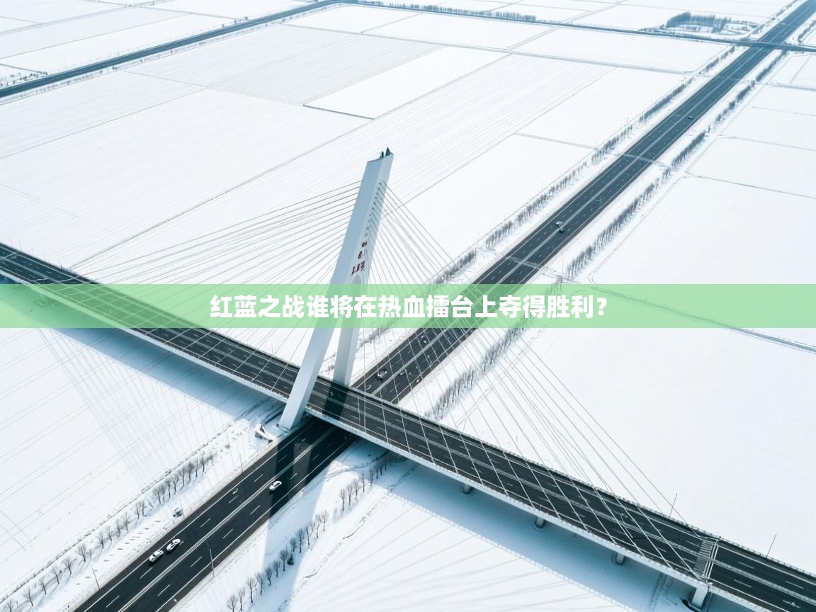 红蓝之战谁将在热血擂台上夺得胜利？  第2张