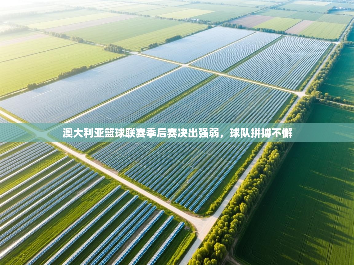 澳大利亚篮球联赛季后赛决出强弱，球队拼搏不懈  第2张